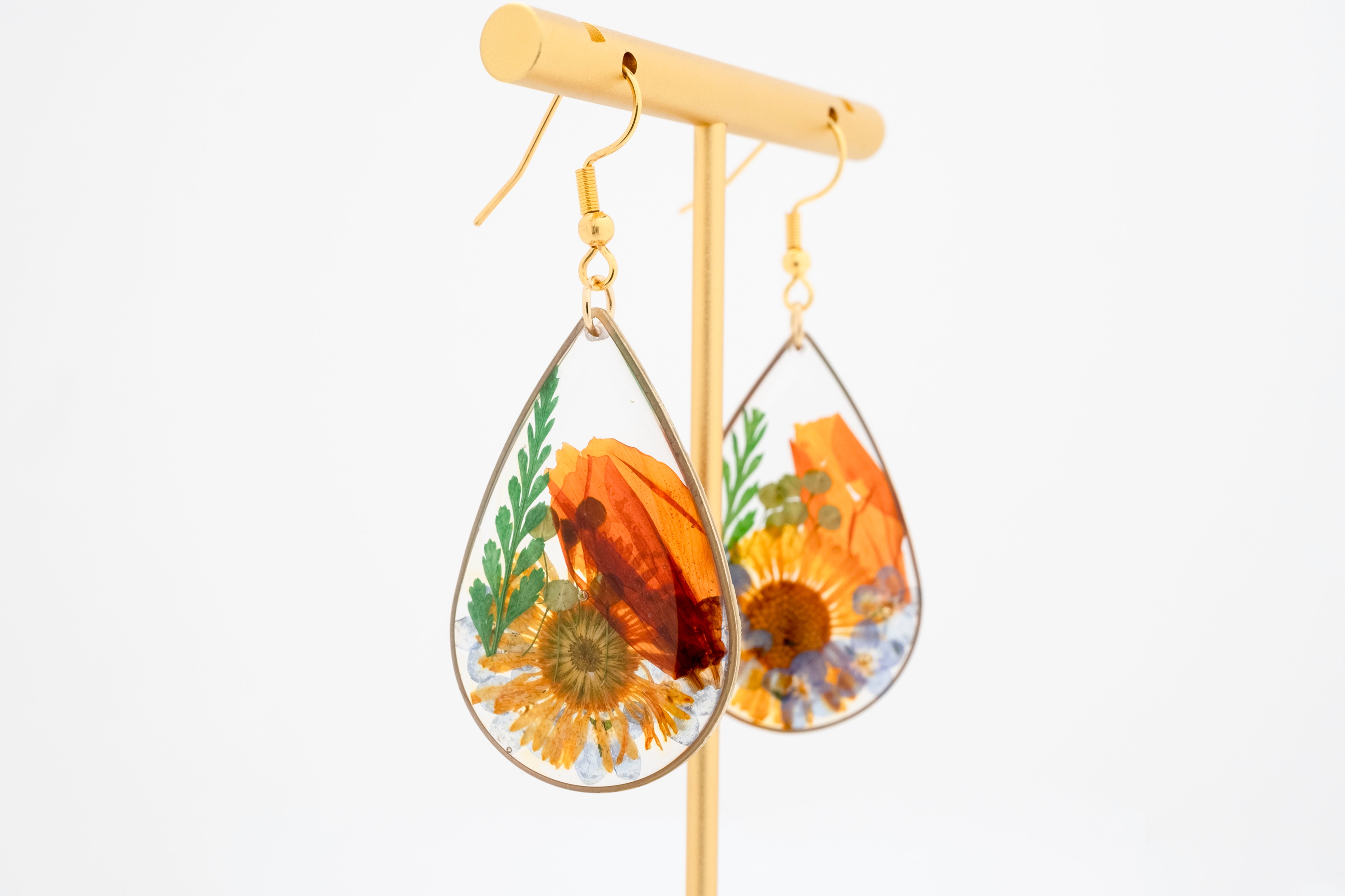 Autumn’s Collection