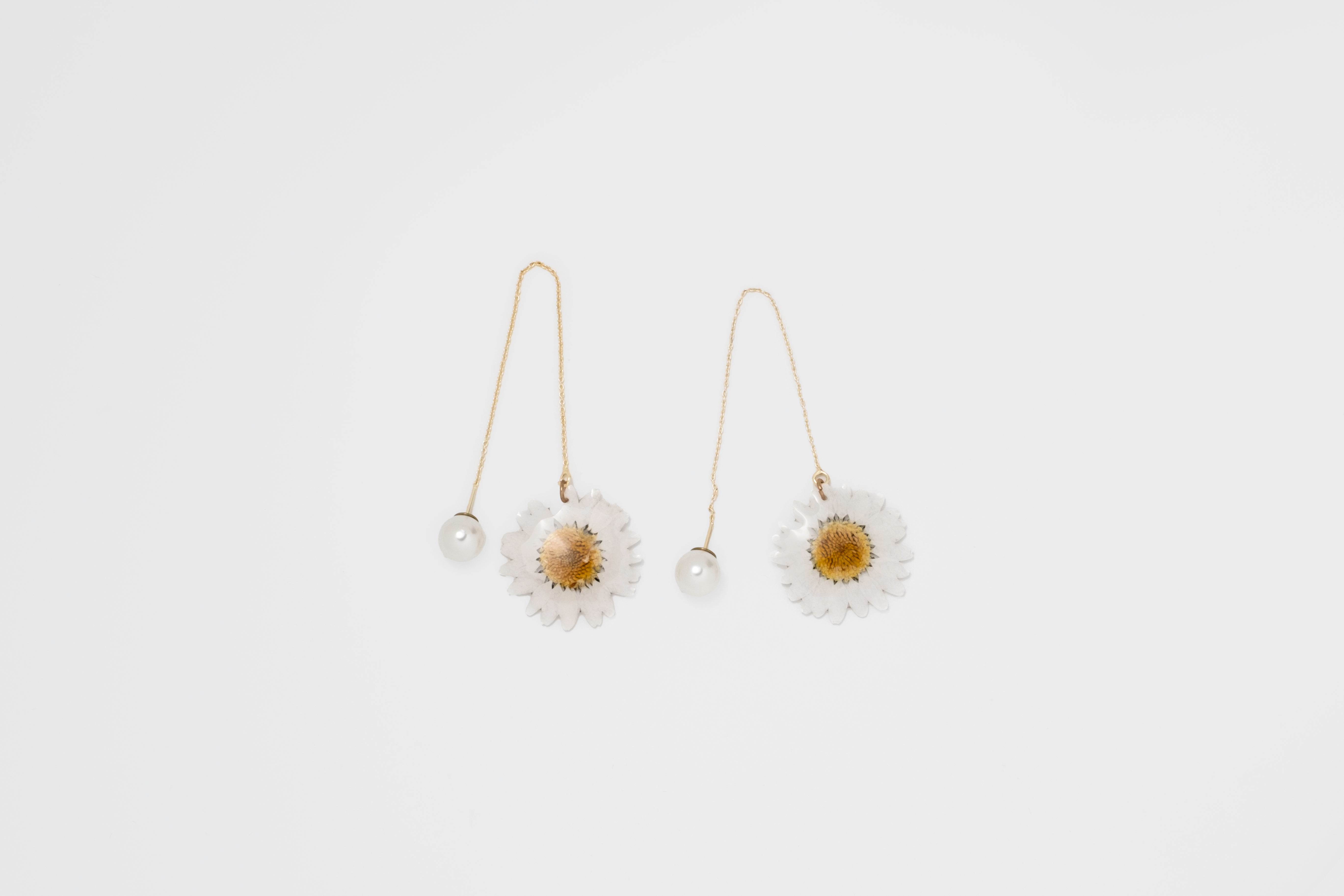 Pearl Petal: Real Daisy & Pearl Drop Earrings