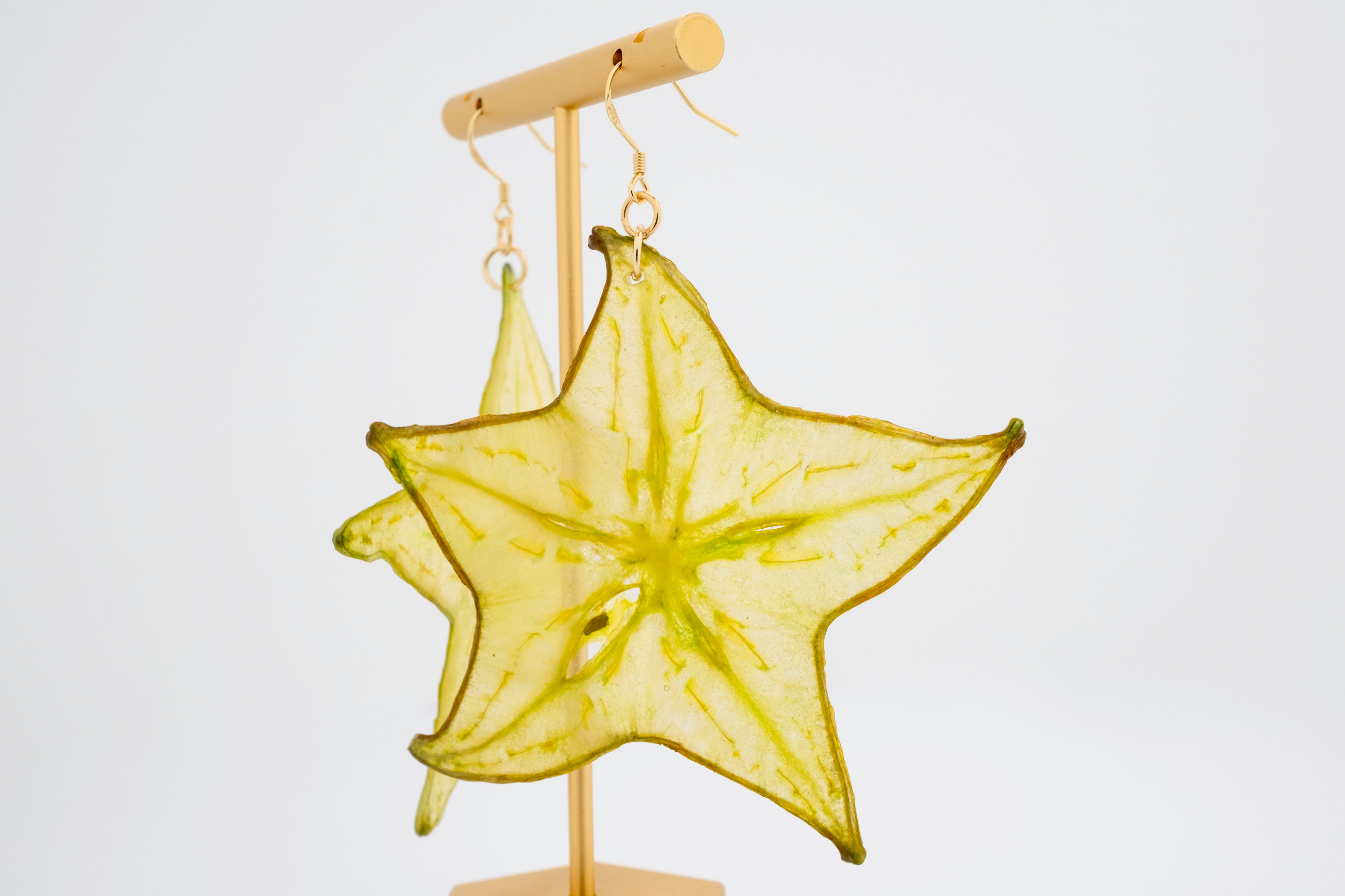 Golden Five: Real Starfruit Resin Earrings