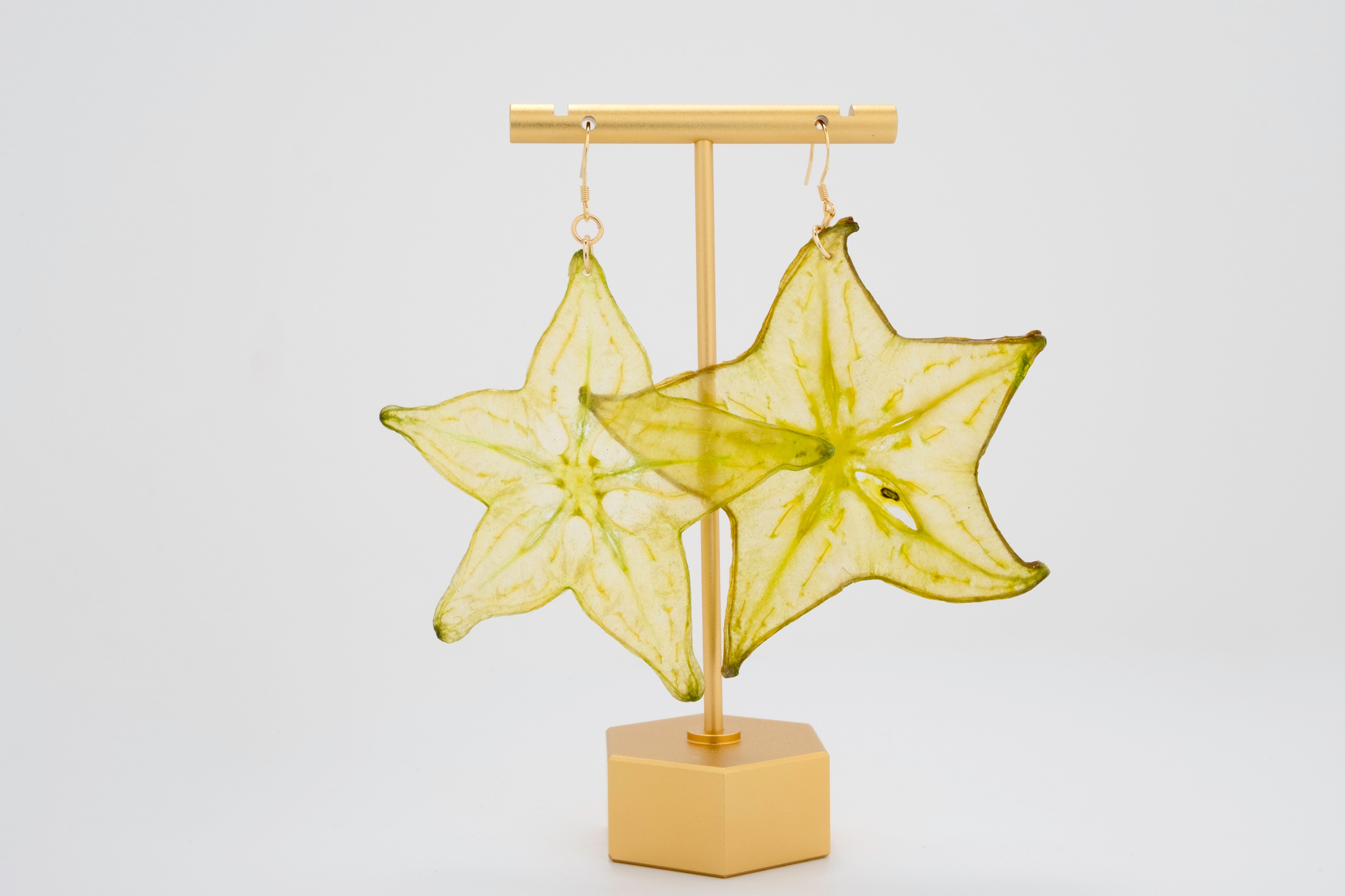 Golden Five: Real Starfruit Resin Earrings