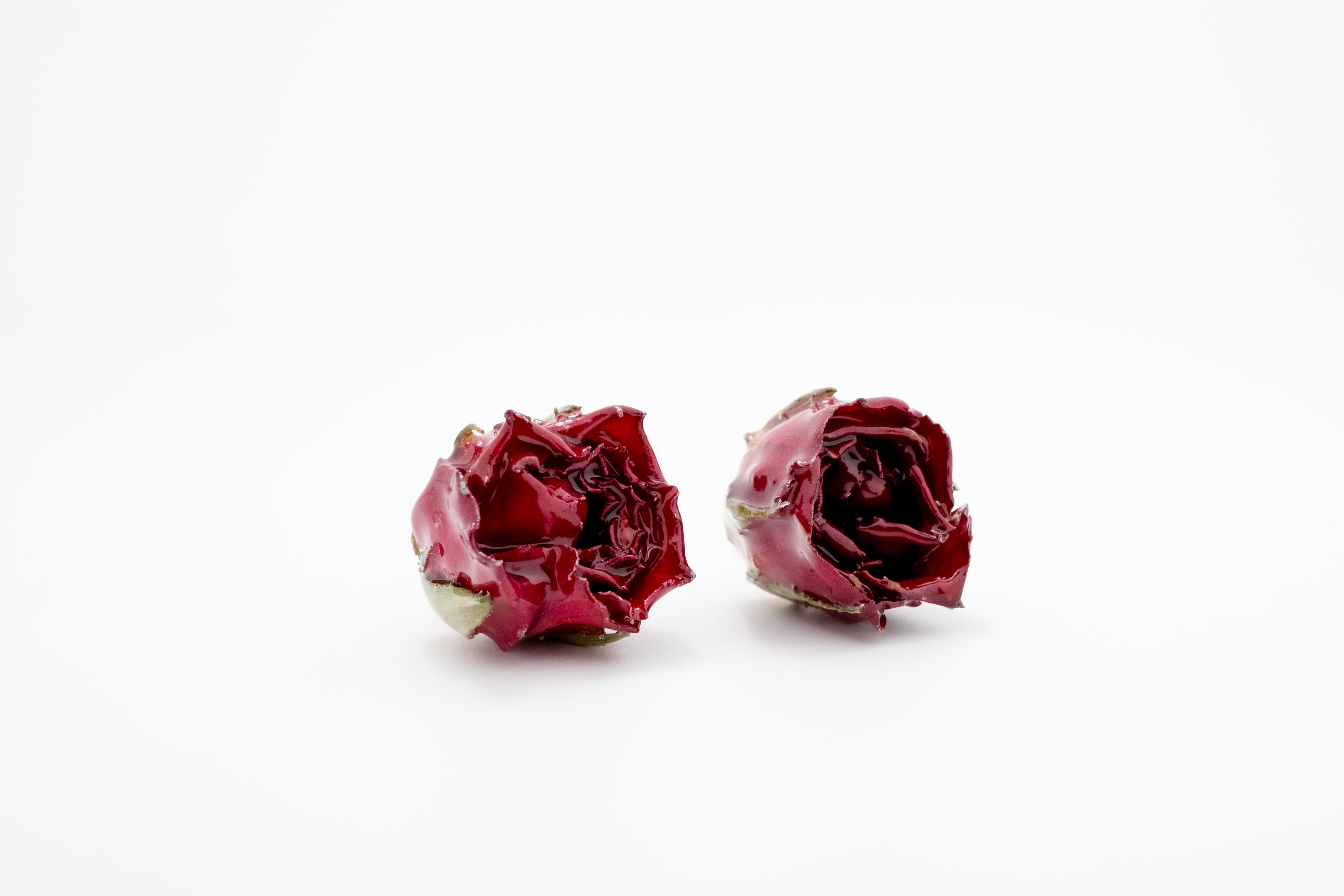 Eternal Bloom: Real Rosebud Resin Earrings